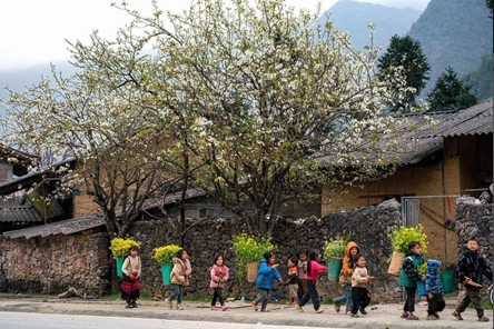 Some 16 bln USD to be allocated for rural development, poverty reduction, ethnic minority uplift